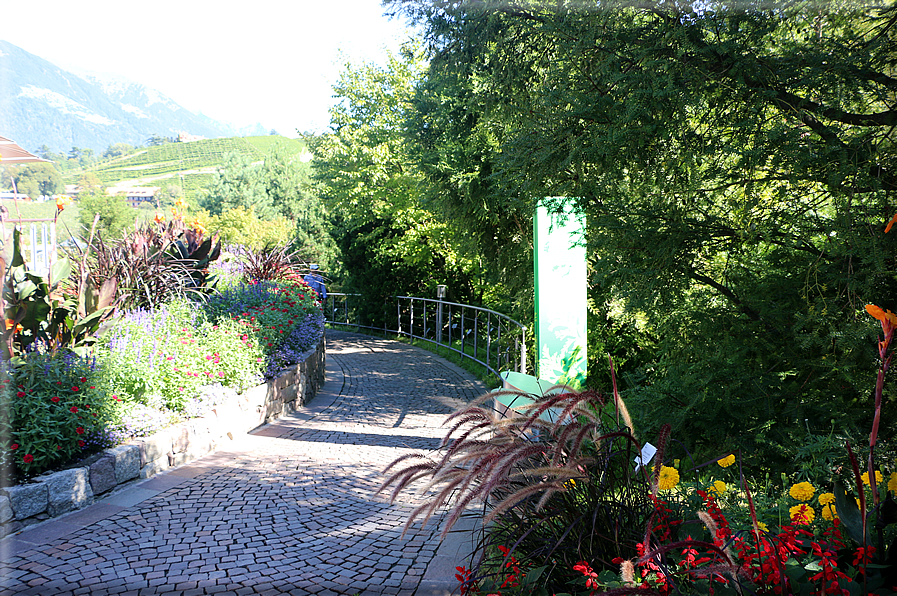 foto Giardini Trauttmansdorff - Boschi del Mondo